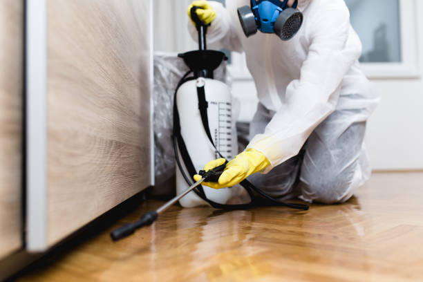 Best Flea Control Services  in New Brighton, MN