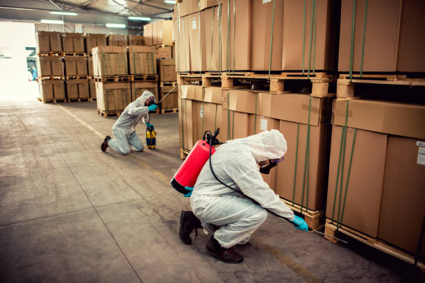 Best Affordable Pest Control Services  in New Brighton, MN
