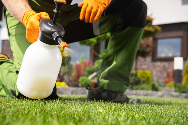 Best Rat Extermination Near Me  in New Brighton, MN