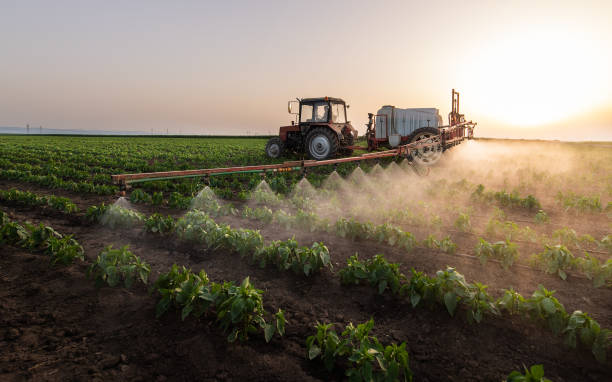 Professional Pest Control in New Brighton, MN