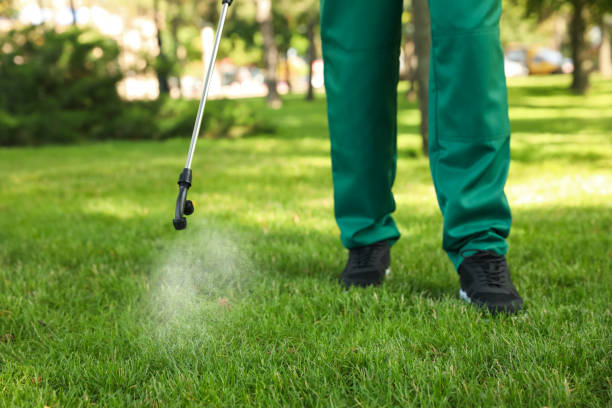 Best Mosquito Control Services  in New Brighton, MN