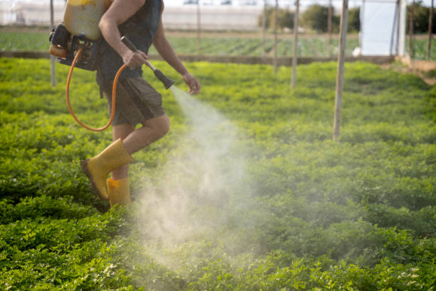 Best Best Pest Control Companies  in New Brighton, MN