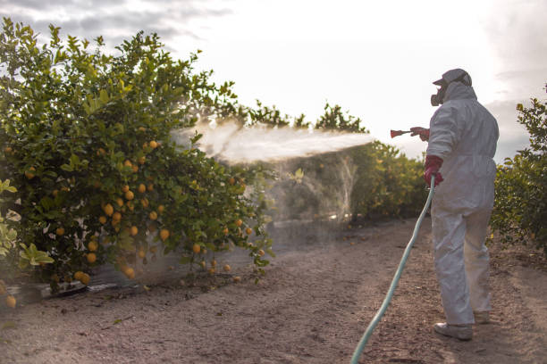 Best Exterminator Services  in New Brighton, MN