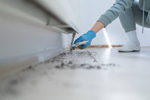 Wildlife Control Services in New Brighton, MN